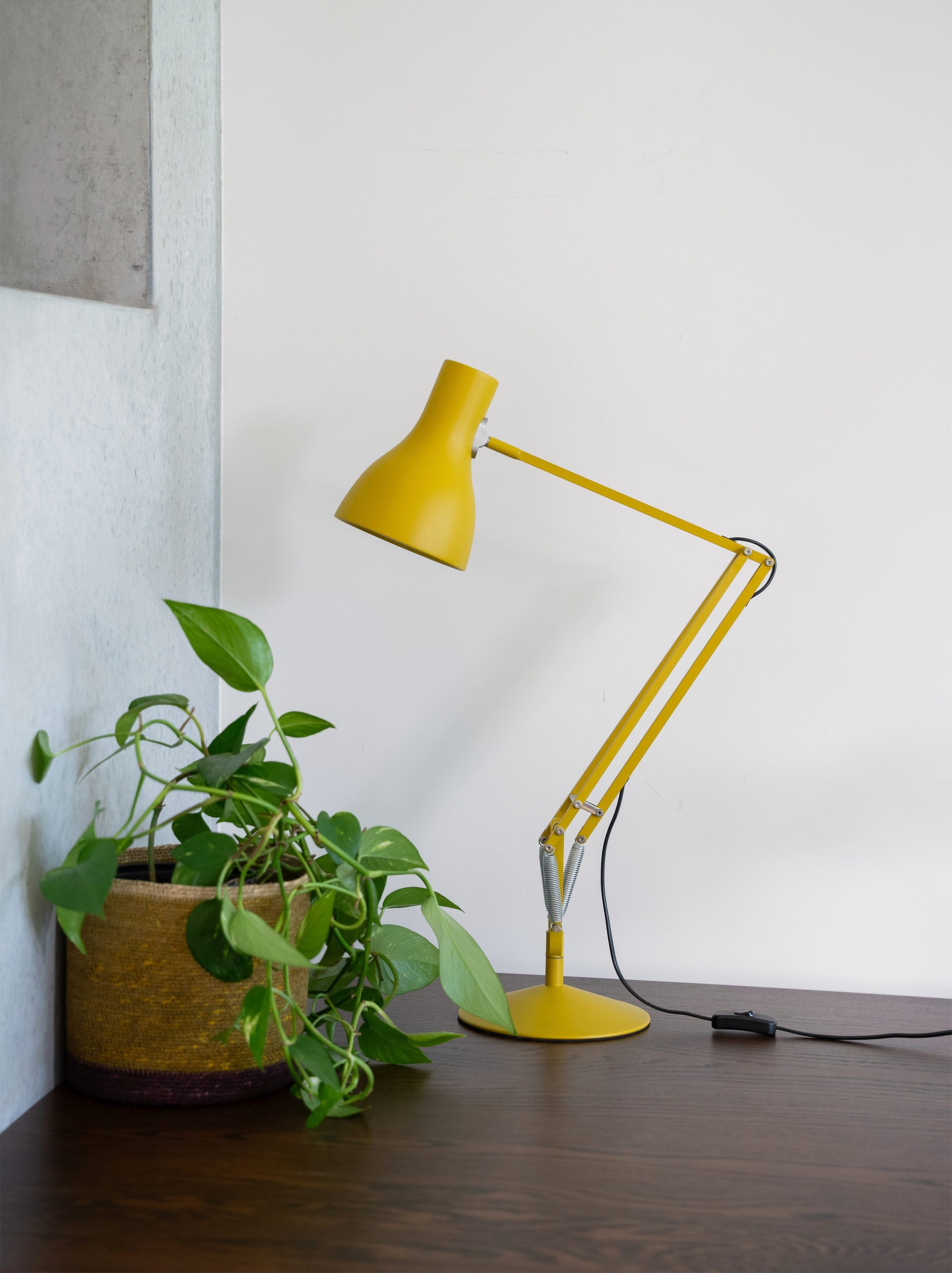 Anglepoise Type 75 Desk Lamp Margaret Howell Edition – Citta - NZ