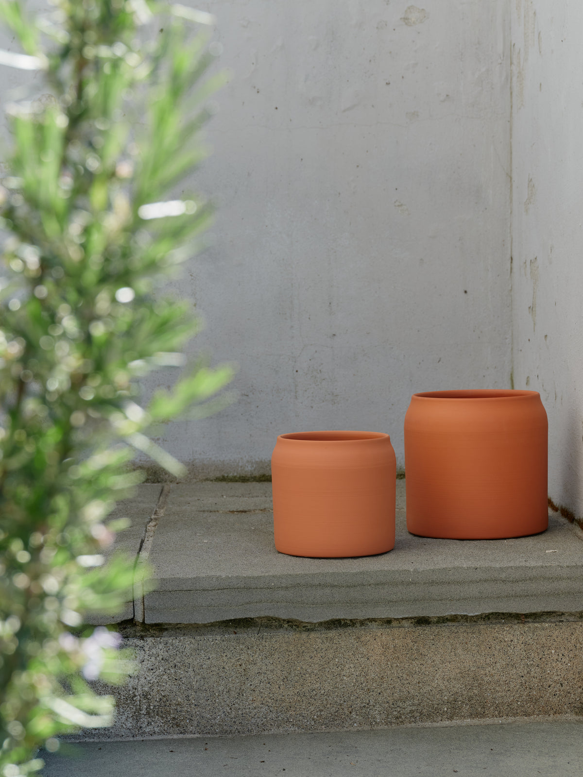 Plant Pot Terracotta / Small