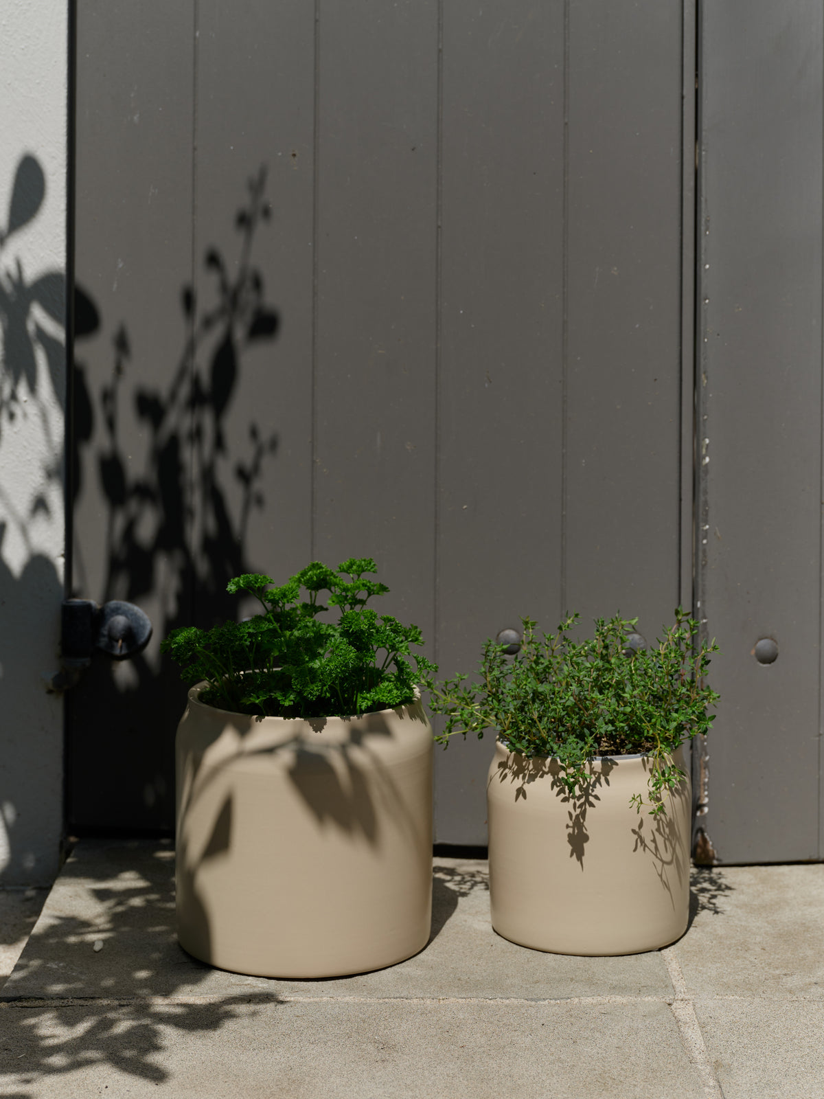 Plant Pot Oatmeal / Small