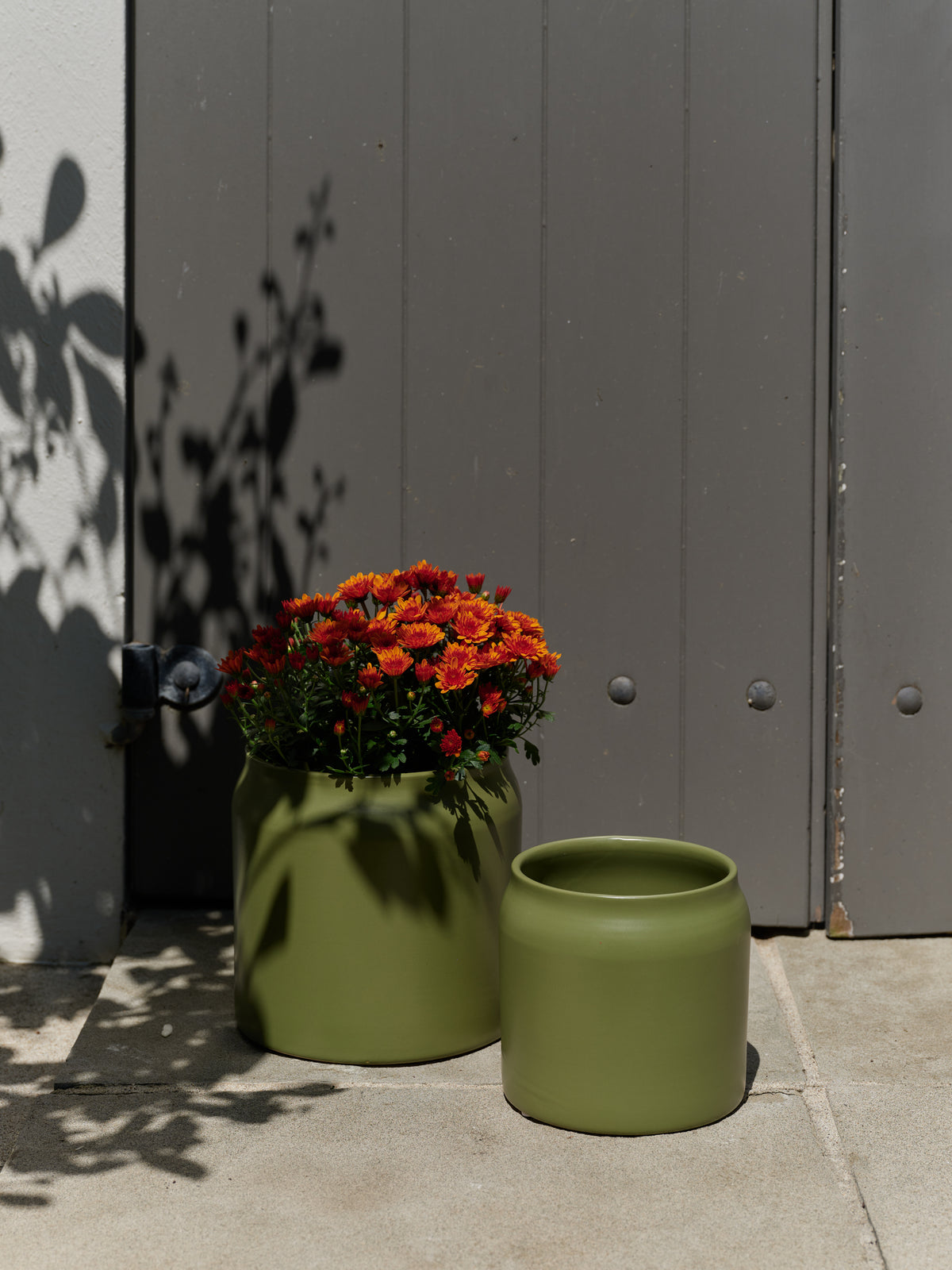 Plant Pot Fern / Small