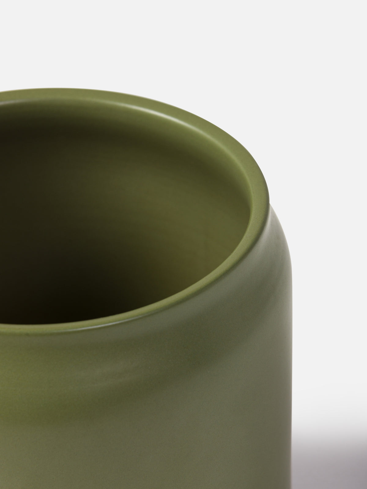 Plant Pot Fern / Small