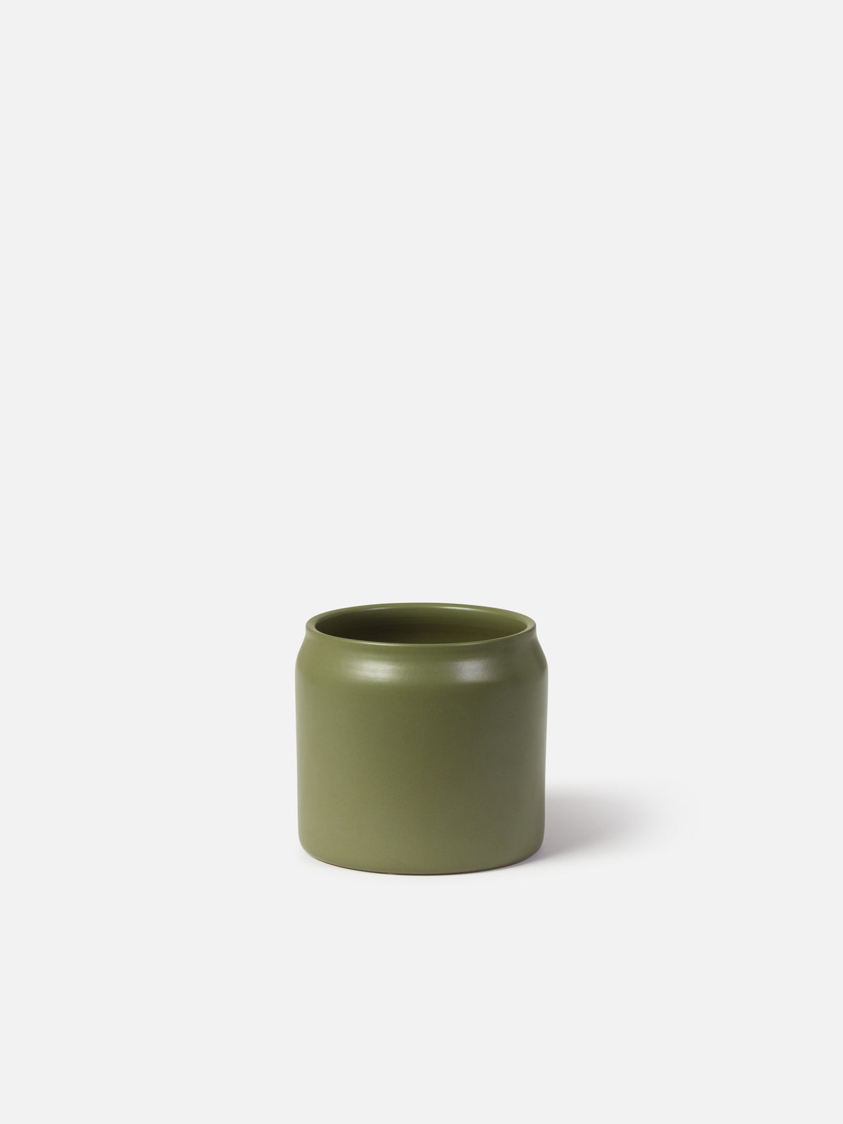 Plant Pot Fern / Medium