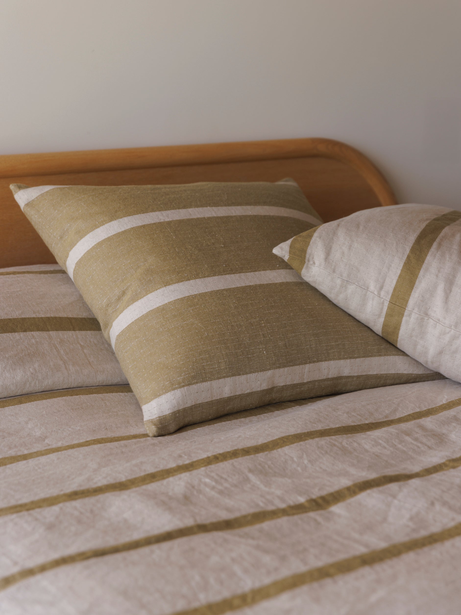 Carnival Euro Cushion Cider/Natural / European Pillowcase