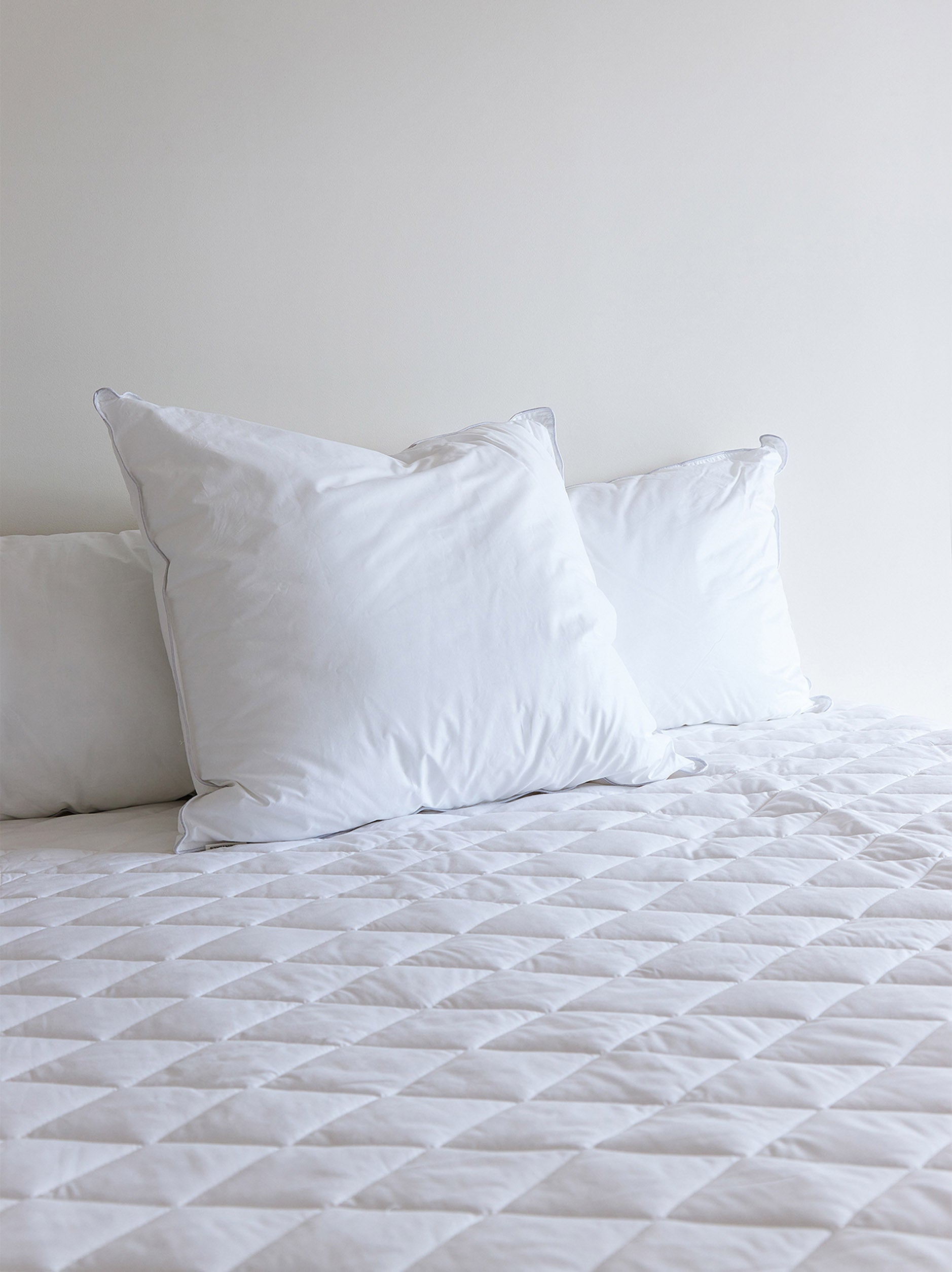 Organic Cotton Fitted Mattress Protector White / Single