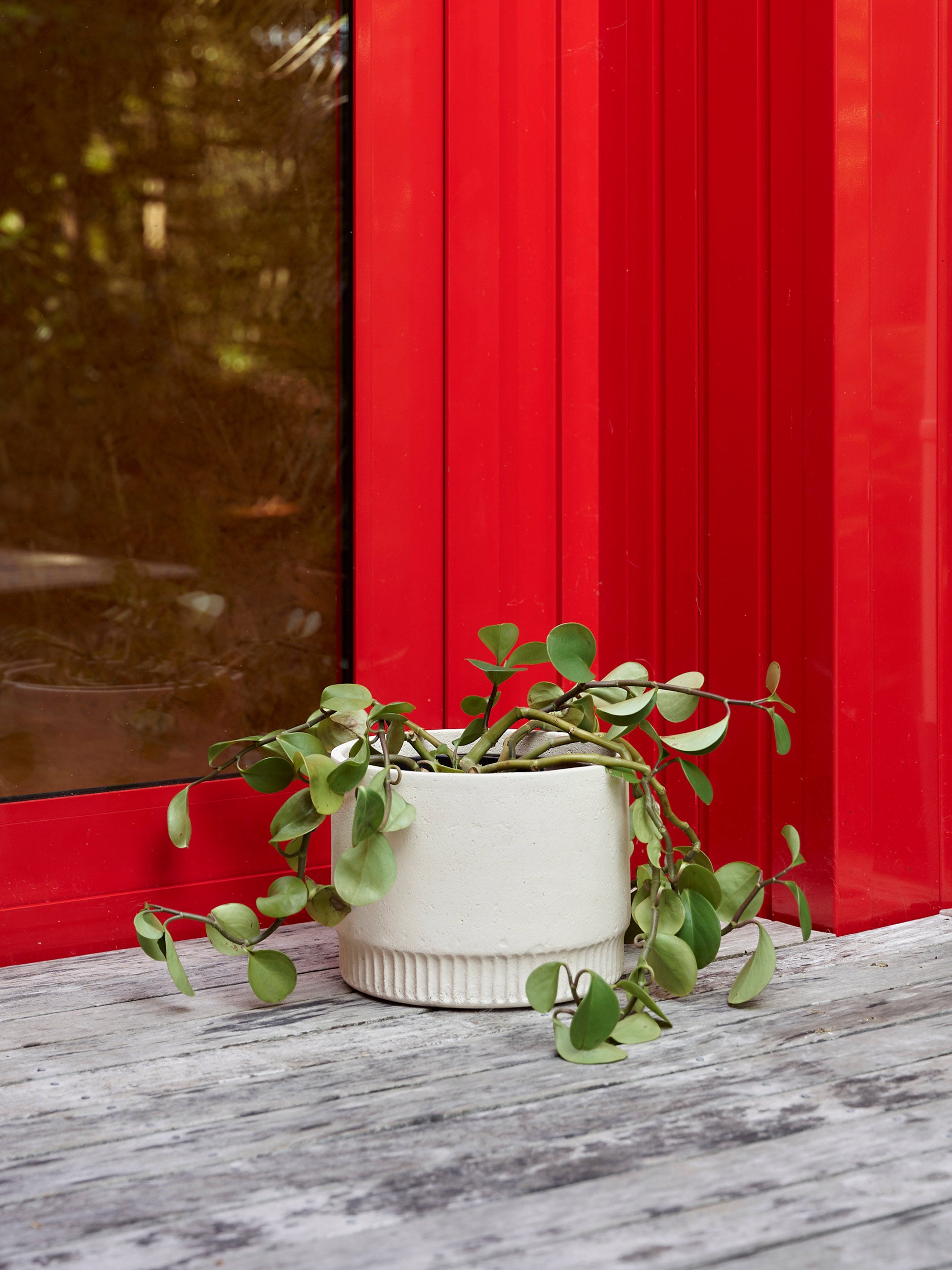 Harvest Planter Natural / Medium