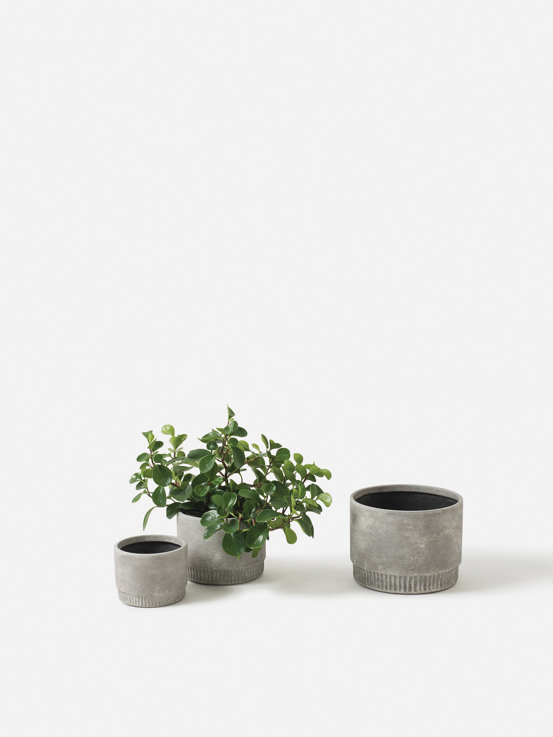 Harvest Planter Ash / Medium