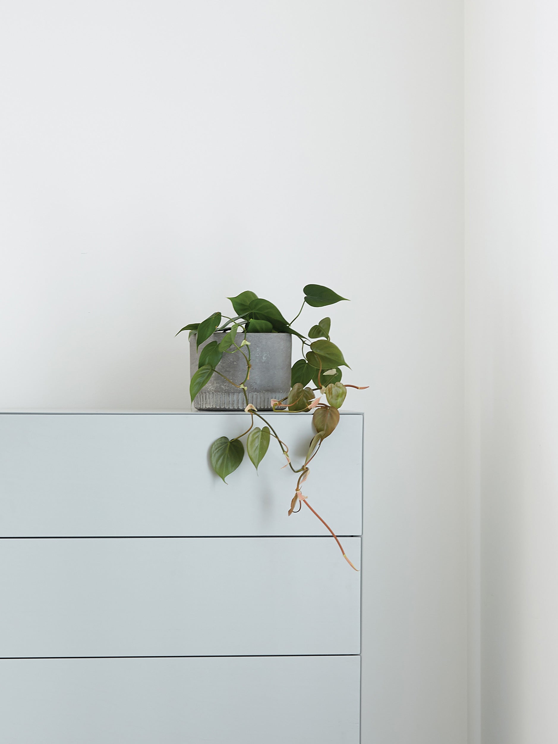 Harvest Planter Ash / Small