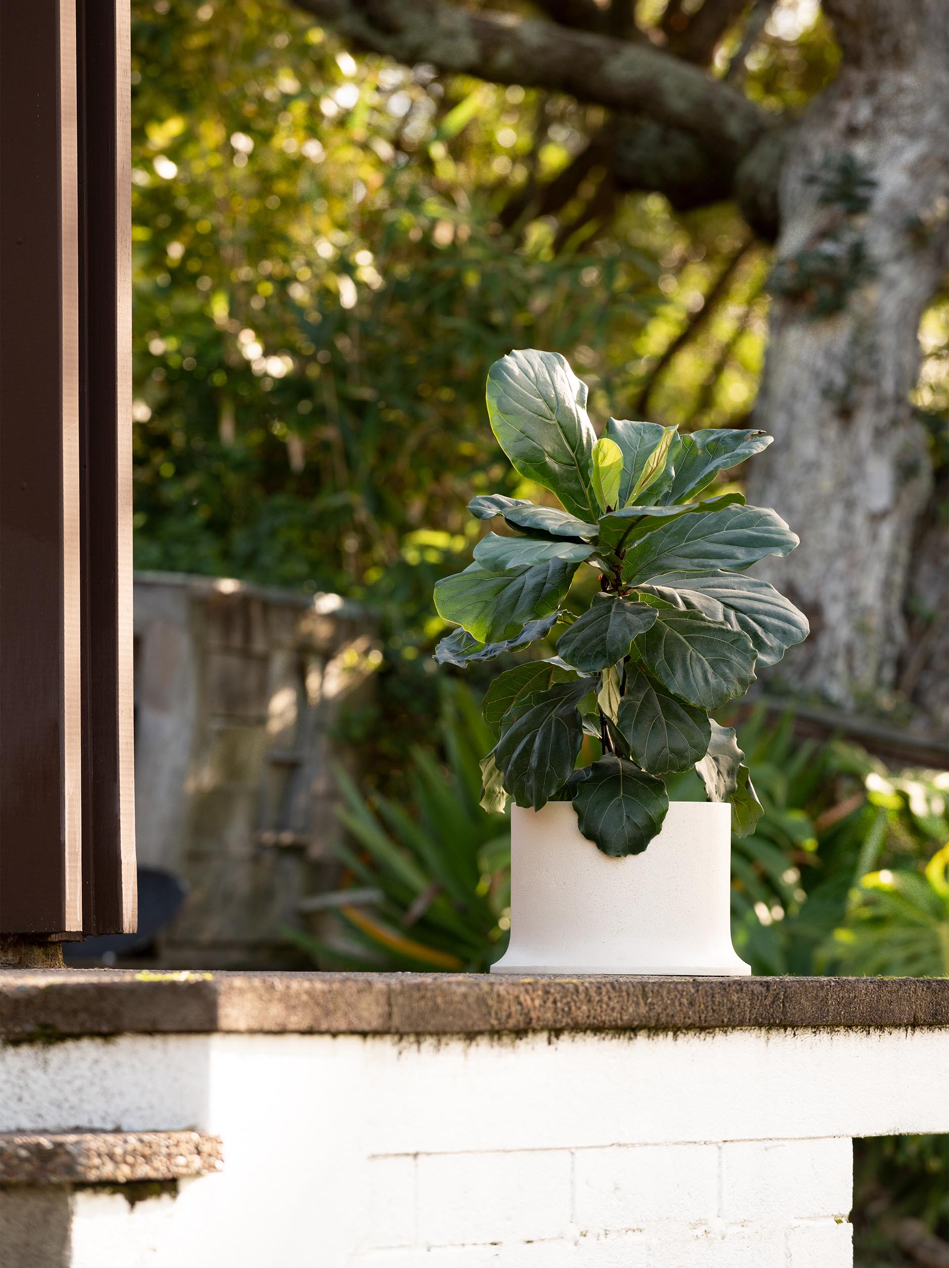 Rise Planter Natural / Medium