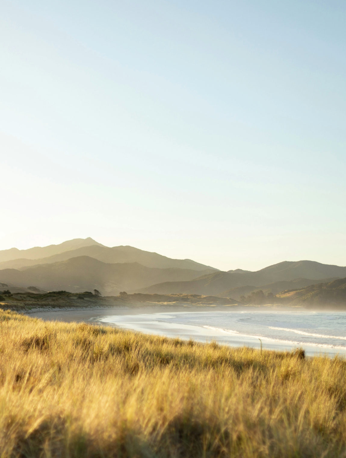 Citta - NZ