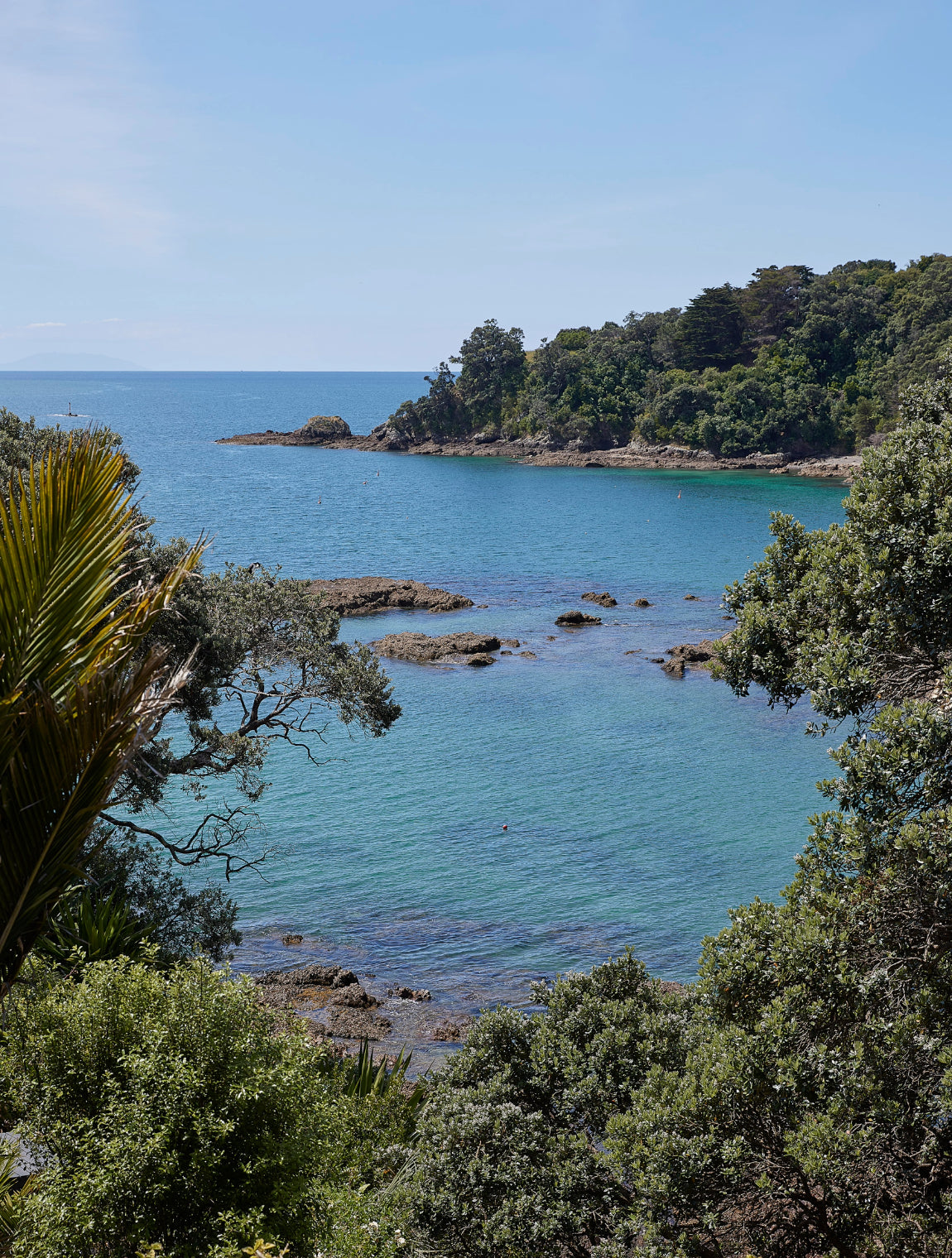 Citta - NZ