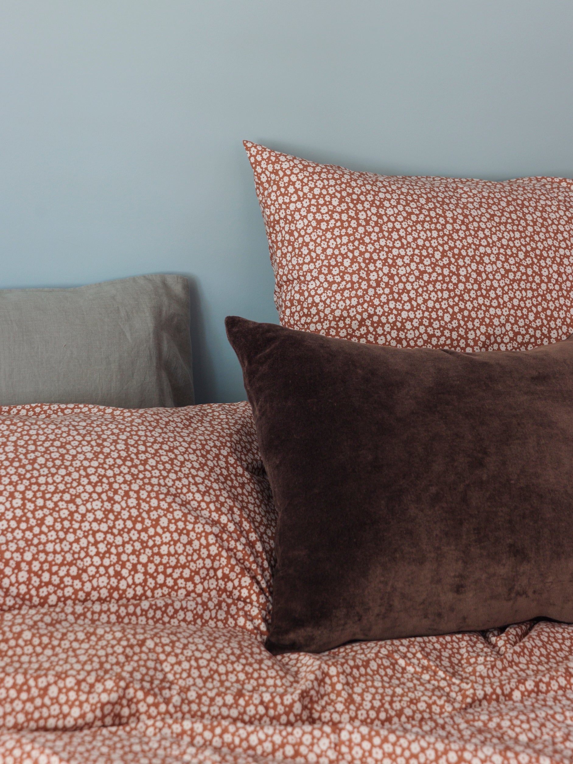 Forget Me Not Organic Cotton Euro Pillowcase Toffee/Nougat / European Pillowcase