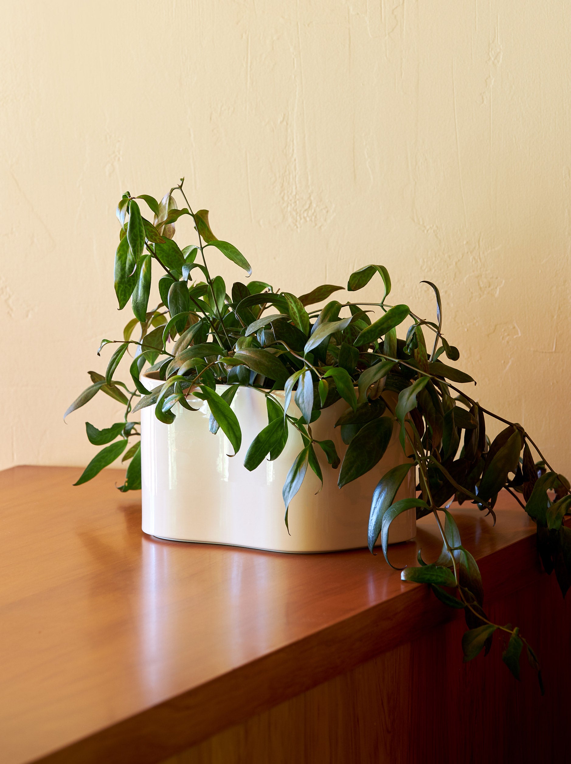 Artek Riihitie Plant Pot A White / Small