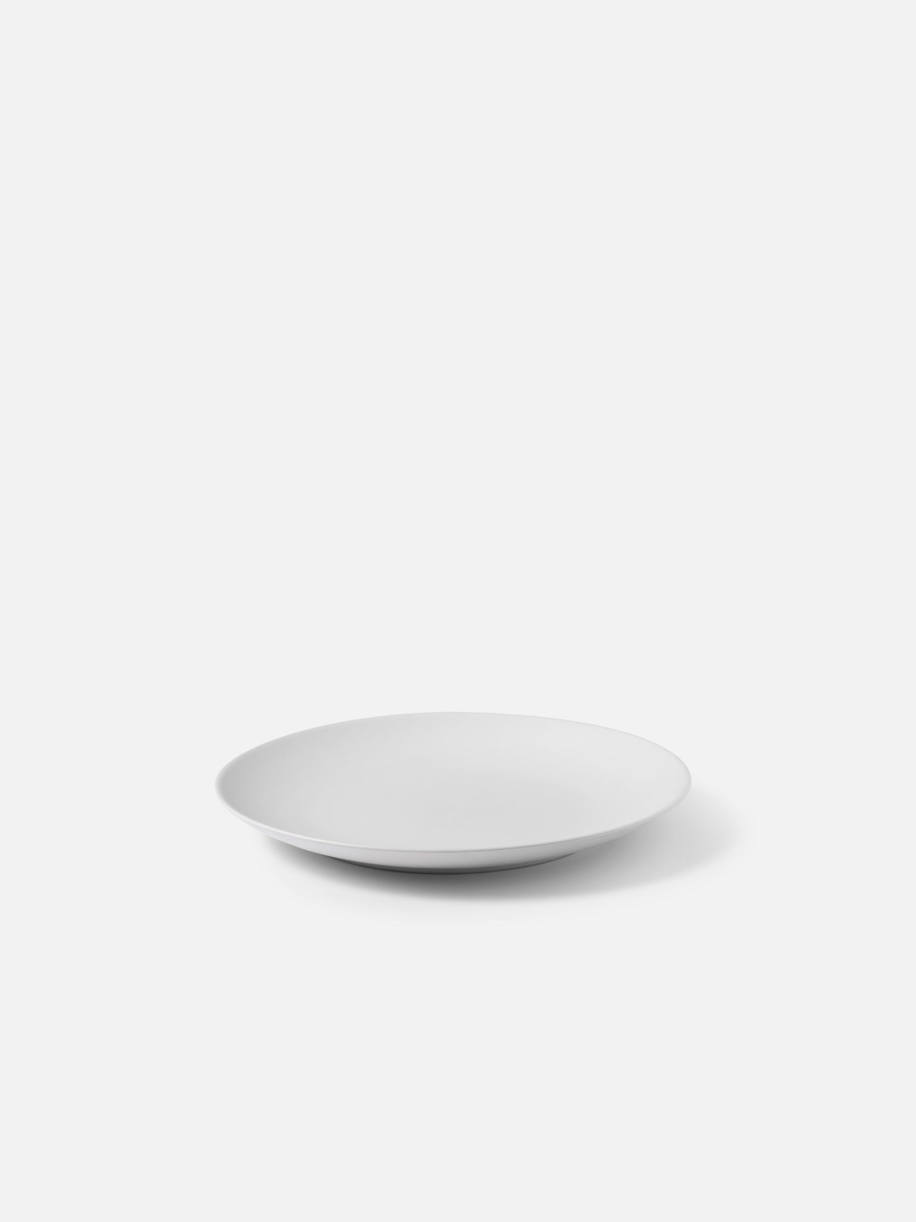 Stoneware Dinner Plate Set/4 None / None